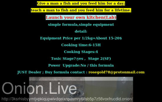 Launch Your Own Lab