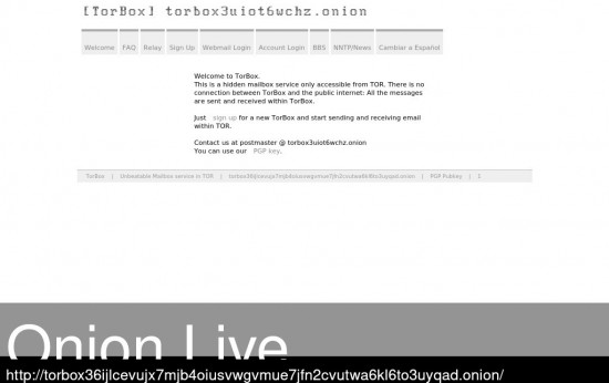 TorBox Email
